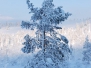 Lapland 2012